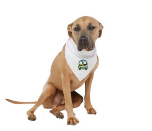 Dog Bandana